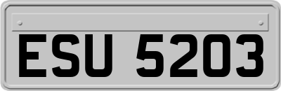 ESU5203