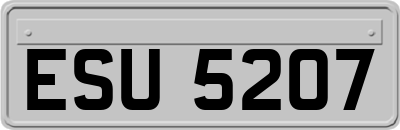 ESU5207
