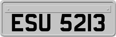 ESU5213