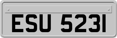 ESU5231