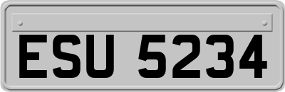 ESU5234