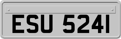 ESU5241