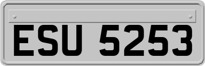ESU5253