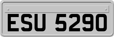 ESU5290
