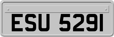 ESU5291