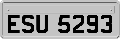 ESU5293