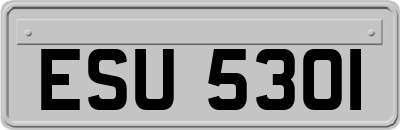 ESU5301