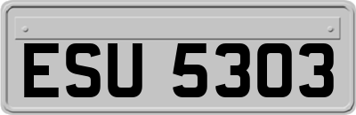 ESU5303