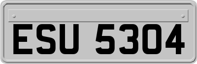 ESU5304