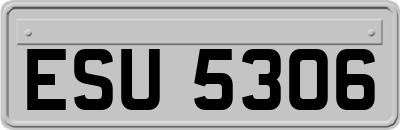 ESU5306