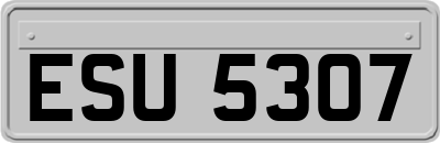 ESU5307