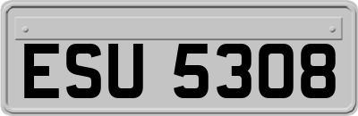 ESU5308