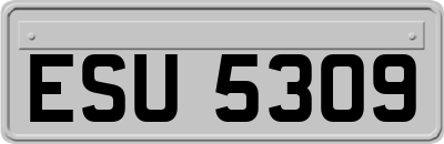 ESU5309