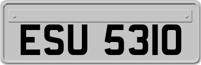ESU5310
