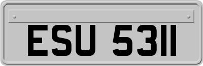 ESU5311