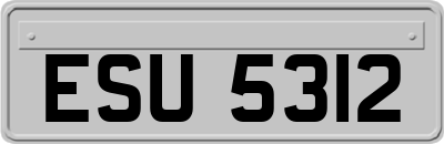 ESU5312