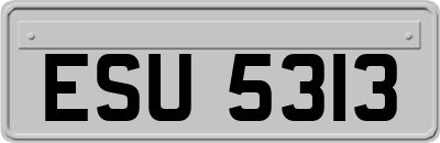 ESU5313
