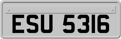 ESU5316