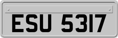 ESU5317