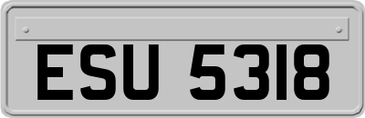 ESU5318