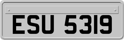 ESU5319