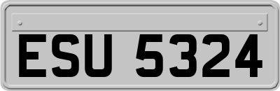 ESU5324