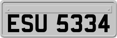 ESU5334