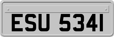 ESU5341