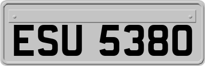 ESU5380