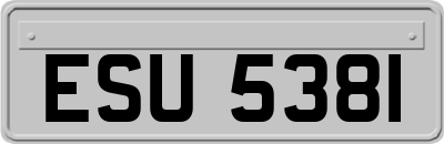 ESU5381