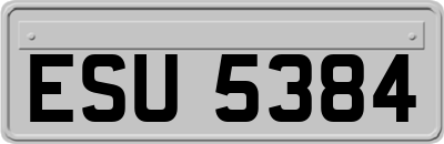 ESU5384