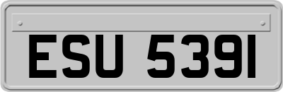 ESU5391