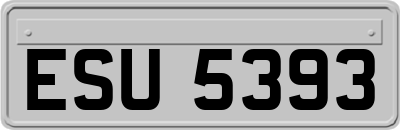 ESU5393