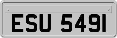 ESU5491