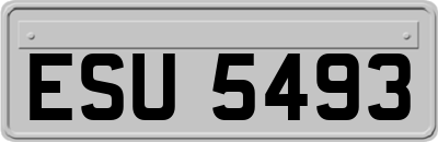 ESU5493
