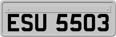 ESU5503