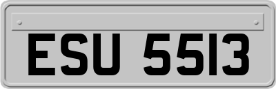 ESU5513