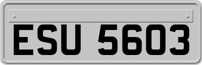 ESU5603