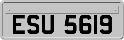 ESU5619