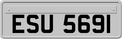 ESU5691