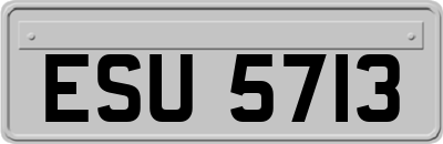 ESU5713