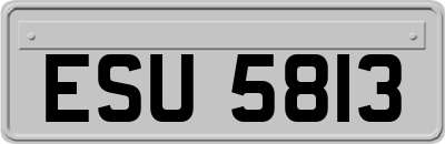 ESU5813