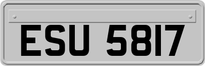 ESU5817