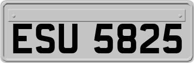 ESU5825