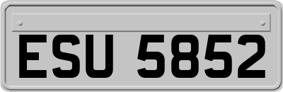 ESU5852