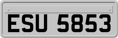 ESU5853