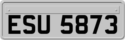 ESU5873