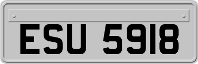 ESU5918