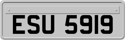 ESU5919