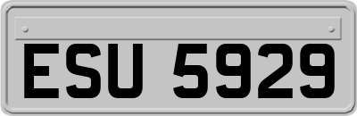 ESU5929